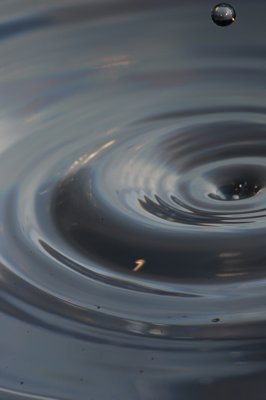 Expulsion en douceur_4348116791_l.jpg